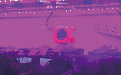 江西省蔬菜大棚氣體監(jiān)測